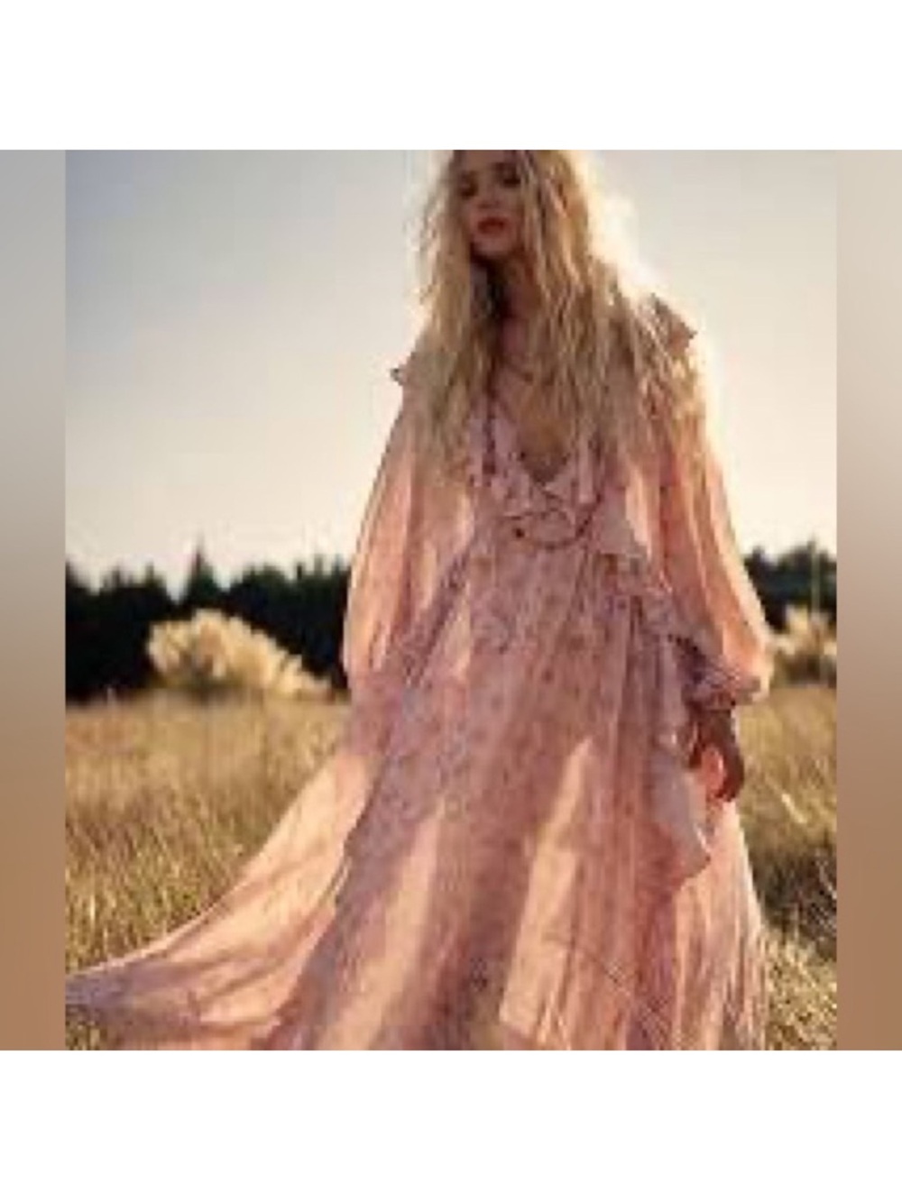 SPELL Fleur Gown Dress Pink organic cotton A line Anthropologie floral Sz XL NEW